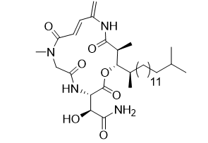 Rakicidine A