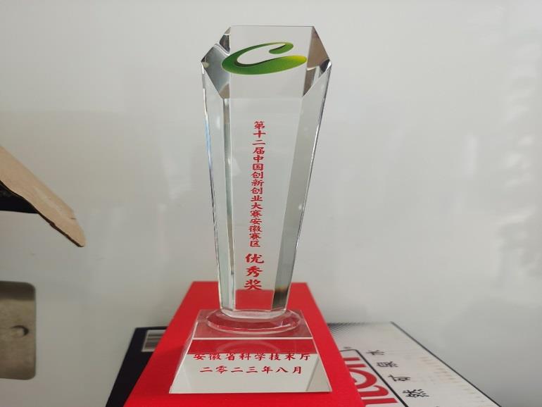 第十二届中国创新创业大赛安徽赛区优秀奖